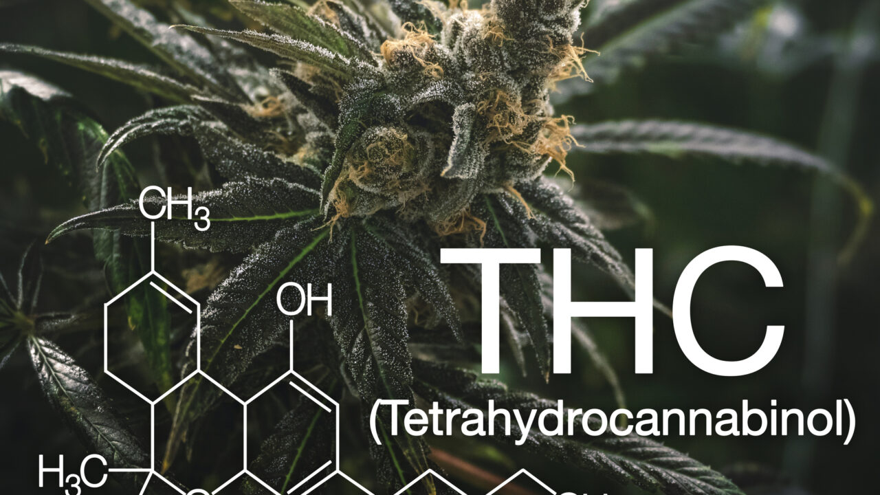 Psychoactive Effects Of THC – Do They Impair Your Senses?